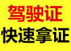 本地駕駛證,快速領辦,全國通用駕照