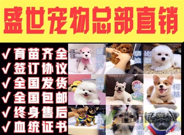 最高品質(zhì) 最低價格 育苗齊全 包活簽協(xié)議 - 1380元