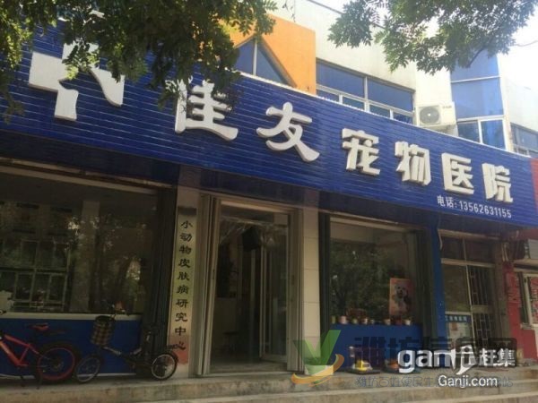 濰坊最權(quán)威的綜合性寵物醫(yī)院