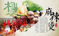 楊國(guó)福總部 火爆市場(chǎng),免費(fèi)技術(shù)送設(shè)備,月入20萬(wàn)!