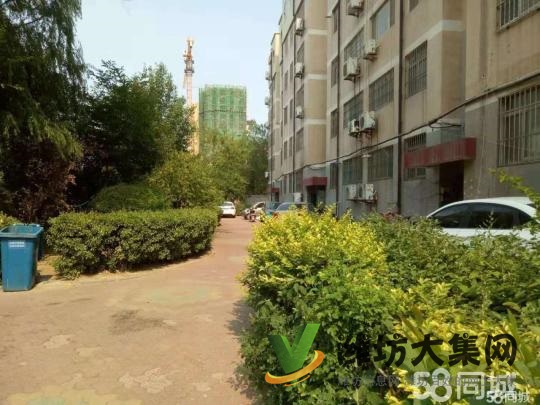 三室兩廳一衛(wèi)，地下室，停車位。公攤面積小