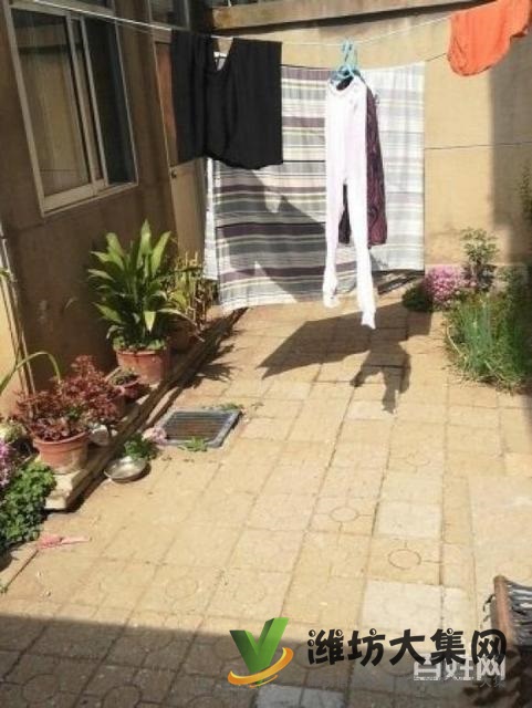 實(shí)驗(yàn)廣文濰柴宿舍一樓帶院子精裝兩室朝陽