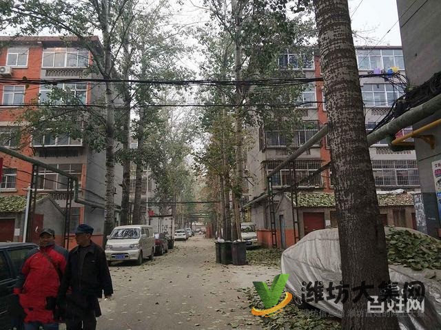 育英中學 濰棉小區 多層兩室 中等裝修 帶廈子出稅