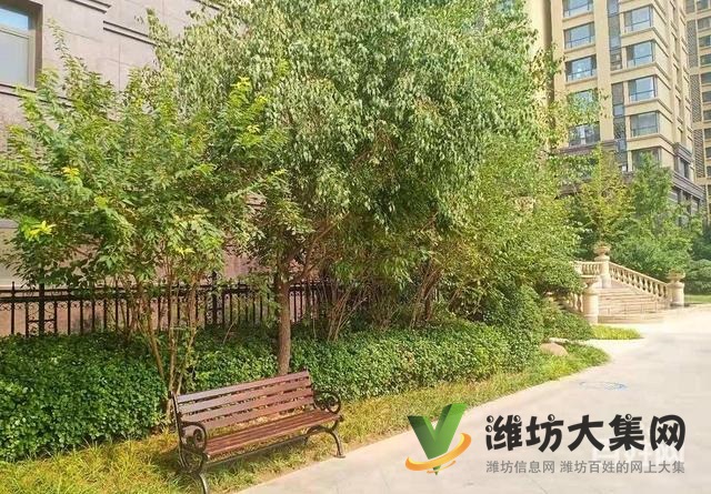 實(shí)驗(yàn)廣文* **大有公館樓層佳113平精裝三室13