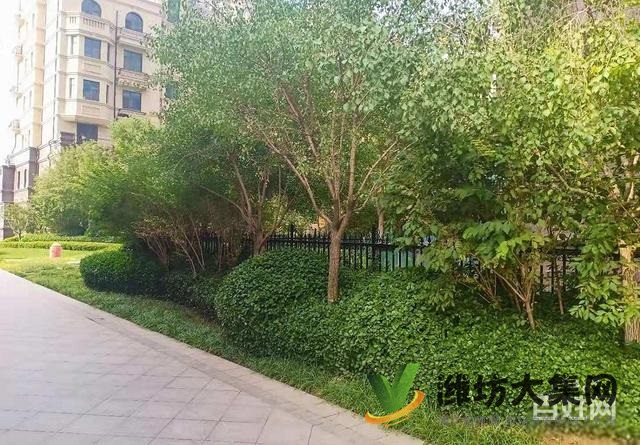 實(shí)驗(yàn)廣文* **大有公館樓層佳113平精裝三室13