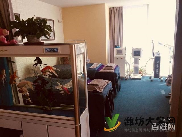 白浪河觀景房,豪華裝修!豪華裝修!拎包入住!大2室