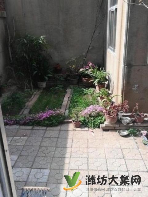 實(shí)驗(yàn)廣文濰柴宿舍一樓帶院子精裝兩室朝陽