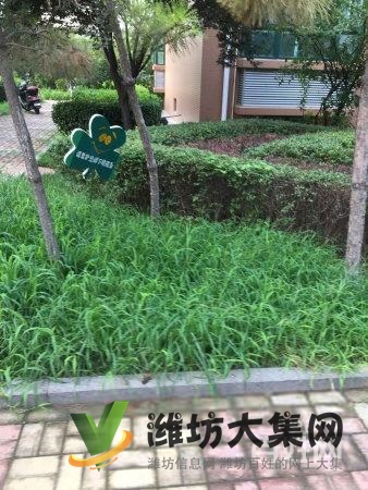 虞河畔德潤左岸華庭精裝3室2廳3室朝陽房主外地發展