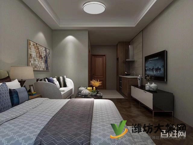 精裝45平地暖一室一廳一衛(wèi) 陽光100