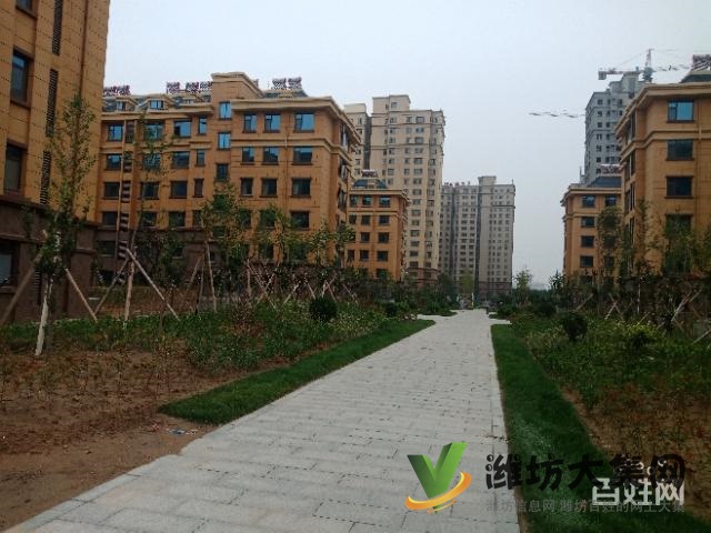 133平帶電梯僅售64萬(wàn)大三室全天采光頂