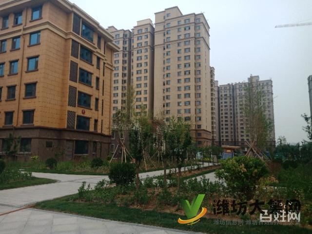 133平帶電梯僅售64萬(wàn)大三室全天采光頂