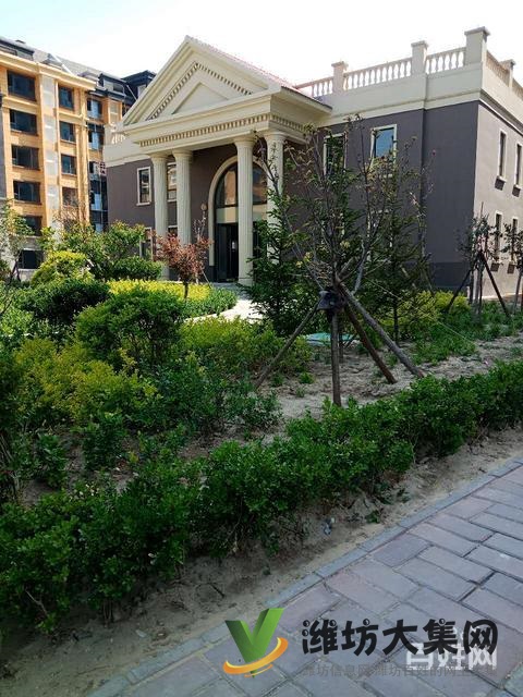 特價(jià)房!首付僅需10萬 濰城區(qū)政府旁電梯洋房134