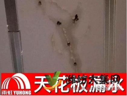 濰坊專業(yè)防水補漏、免砸磚技術(shù)修復各類防水工程