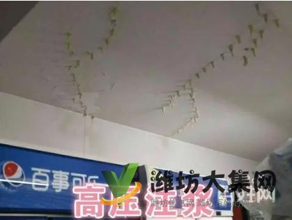 濰坊專業(yè)防水補漏、免砸磚技術(shù)修復各類防水工程