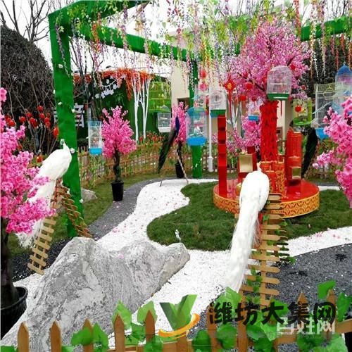 宿遷市海洋生物魚缸展出租供應商