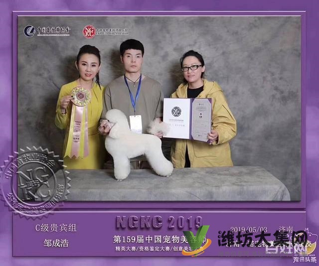 濰坊寵物美容護理學校? 一諾寵物美容師培訓