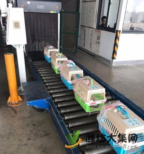 濰坊舒寵快運寵物托運聯合運輸、多種方式供您選擇