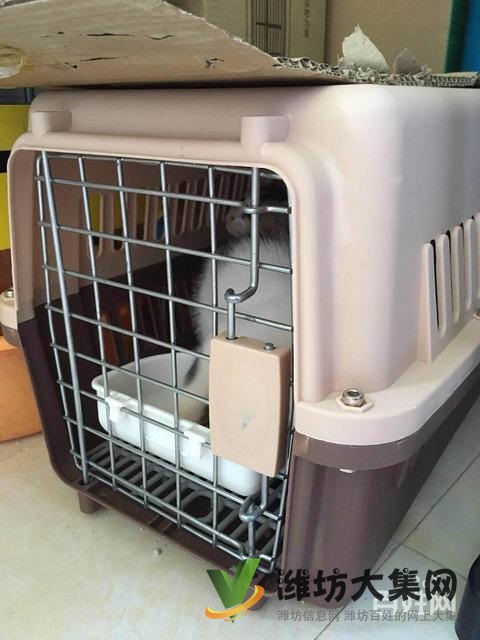 濰坊舒寵快運寵物托運聯合運輸、多種方式供您選擇