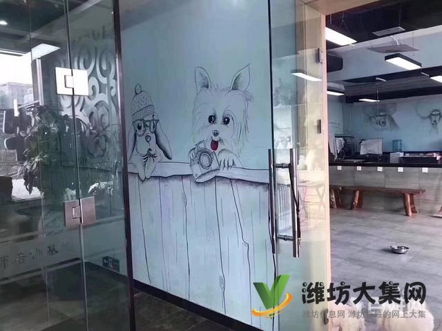 濰坊寵物美容培訓,哪里寵物美容學習好哪里學?