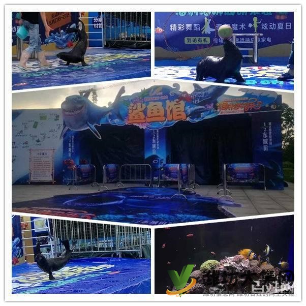 諸城市鸚鵡表演 海洋魚缸展出租