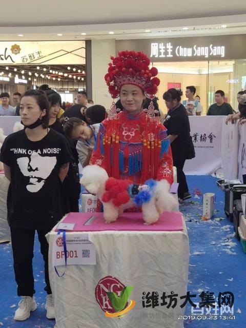 濰坊寵物美容護理學校? 一諾寵物美容師培訓