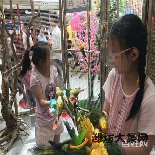 慶陽市哪家出租馬戲團表演價格行情