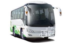 杭州去青州汽車寵物托運乘車指南