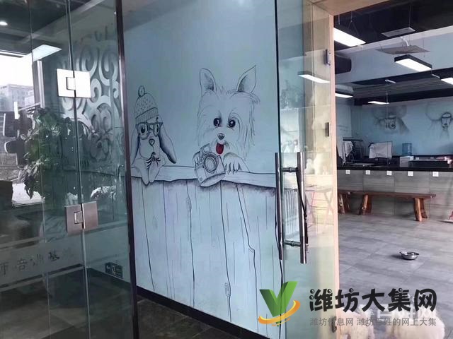 濰坊寵物美容培訓,哪里寵物美容學習好哪里學?