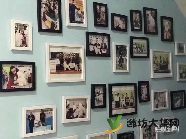 濰坊寵物美容學校培訓正規(guī)嗎|一諾寵物美容培訓學校