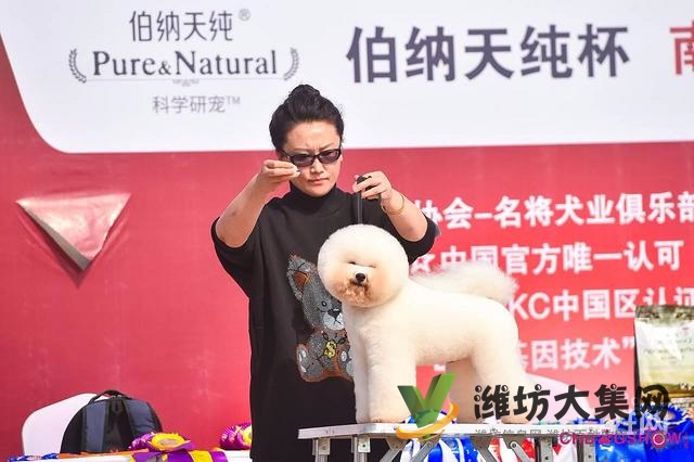 濰坊寵物美容培訓,哪里寵物美容學習好哪里學?