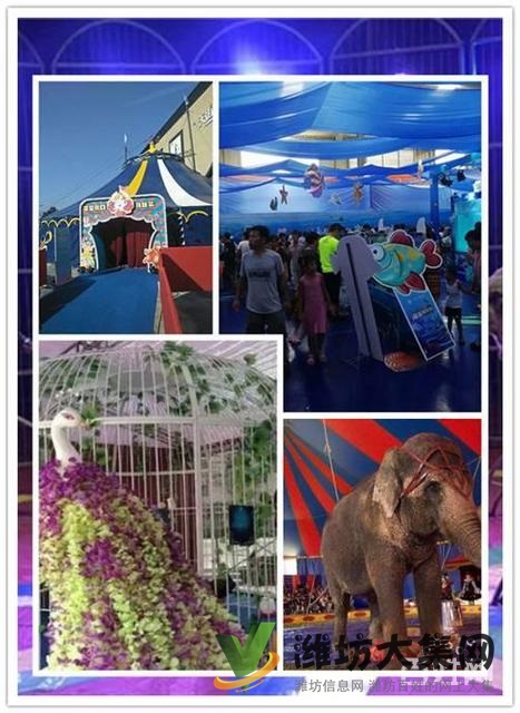 諸城市百鳥展 萌寵展羊駝租賃