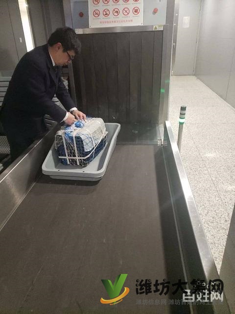 濰坊 國內(nèi)國際寵物托運(yùn)公司 需要多少錢