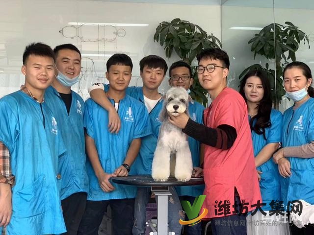 濰坊寵物美容護理學校? 一諾寵物美容師培訓
