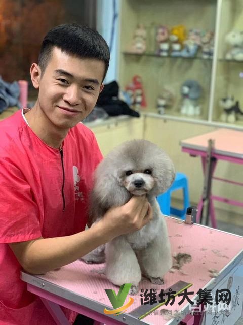 濰坊寵物美容護理學校? 一諾寵物美容師培訓