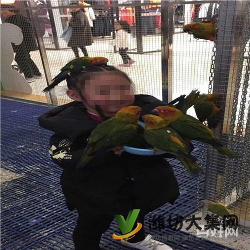 宿遷市海洋生物魚缸展出租供應商