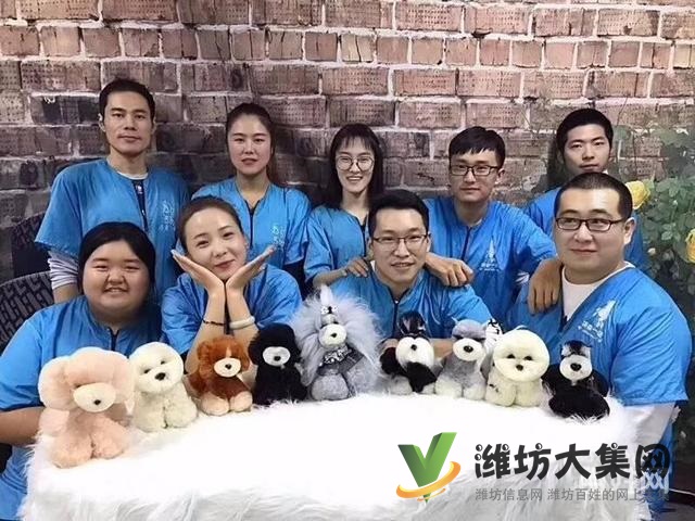 濰坊寵物美容培訓,哪里寵物美容學習好哪里學?