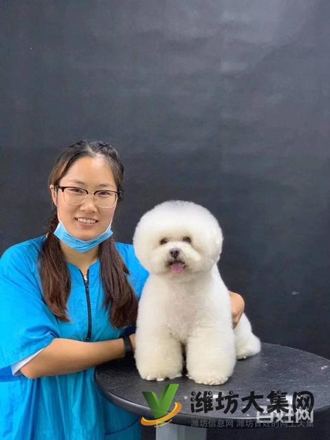 濰坊寵物美容護理學校? 一諾寵物美容師培訓