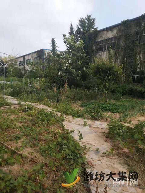 (快租無中介費)高新區(qū)臥龍街東方路寫字樓出租