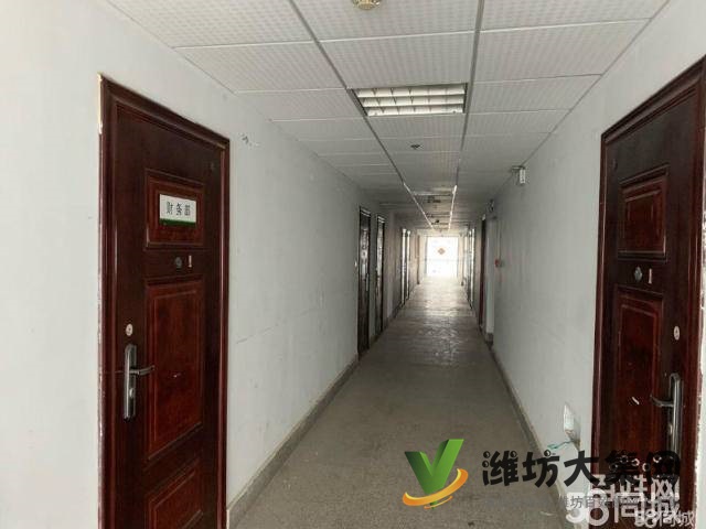 (快租無(wú)中介費(fèi))奎文新華路東風(fēng)街嘉匯財(cái)富大廈寫字樓