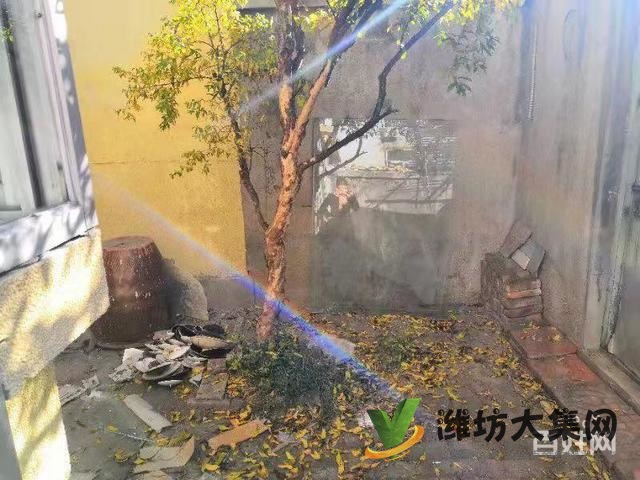 冠華小區1樓帶院南開門兩室  精裝修僅售52萬