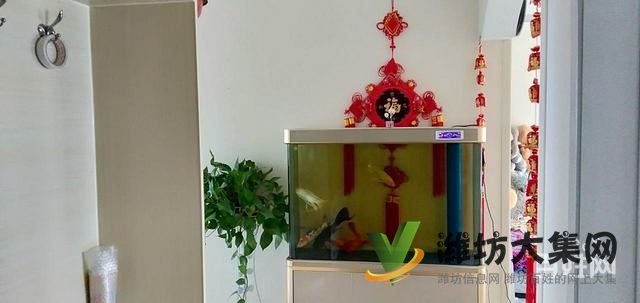 搶房了 正陽花園 精裝修 三室 134平送儲藏室