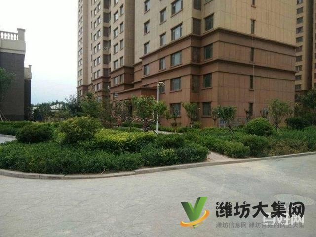 低首付 區政府近 凡爾賽麗都 客廳朝陽 新房未住