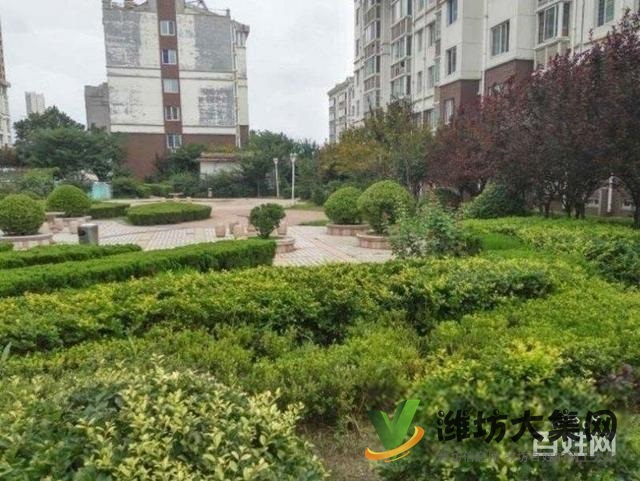 火車站中百近首付15萬 金都家園多層 92平 3室 精裝修僅