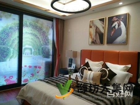 恒信彌水春風 3.1米別墅層高 電梯洋房 只此一套 雙陽臺頂