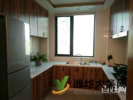 恒信彌水春風 3.1米別墅層高 電梯洋房 只此一套 雙陽臺頂