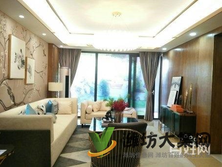 恒信彌水春風 3.1米別墅層高 電梯洋房 只此一套 雙陽臺頂