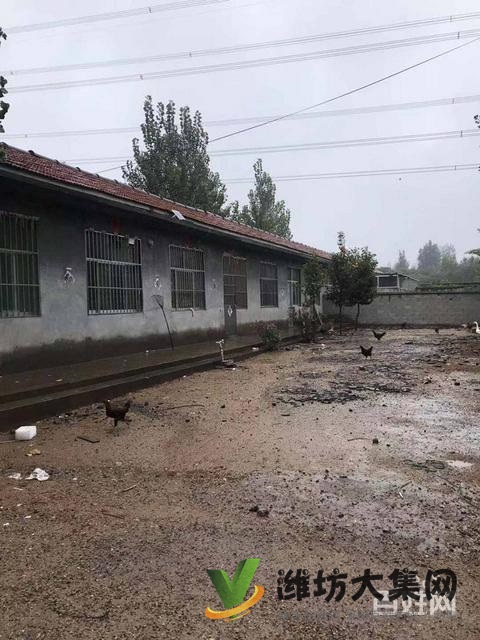 (快租免費尋址)昌樂紅河鎮(zhèn)西1公里大北良村廠房出租