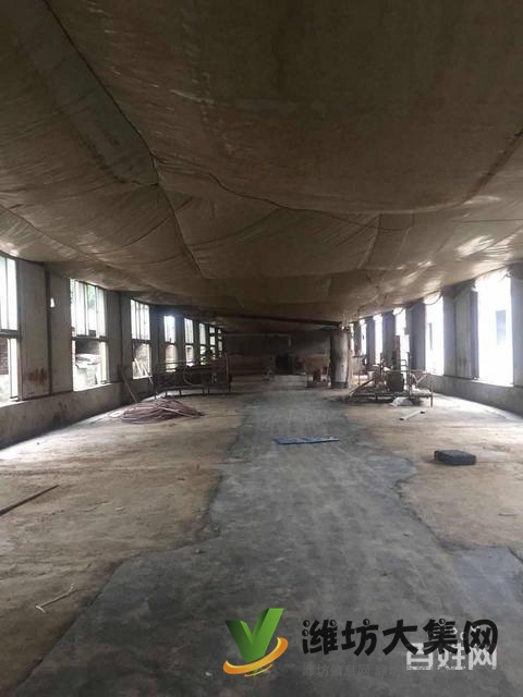 (快租免費尋址)濰城區寶通西街夏家村廠房出租