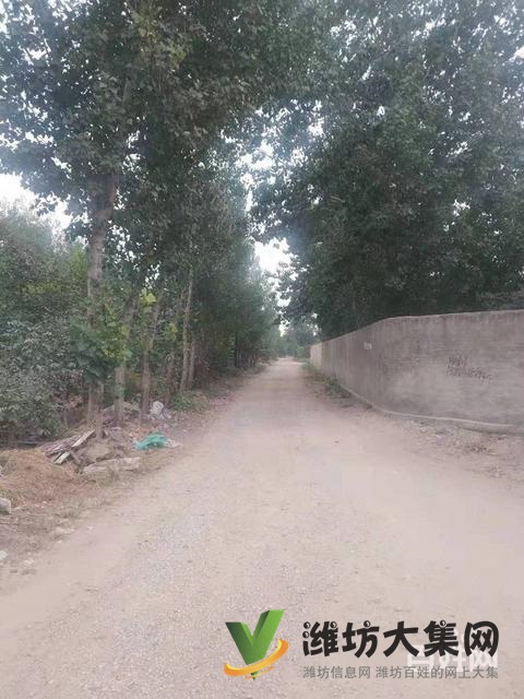 (快租免費尋址)濰城區殷大路玉清街葛埠村土地出租