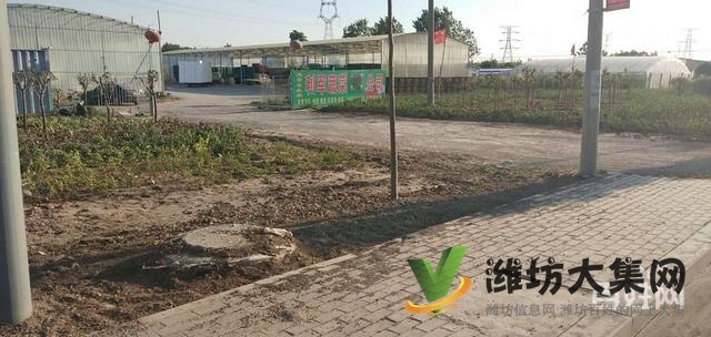 {快租免費尋址}壽光壽堯路與308國道旁廠房出租